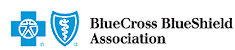 Blue Cross Blue Shield Insurance